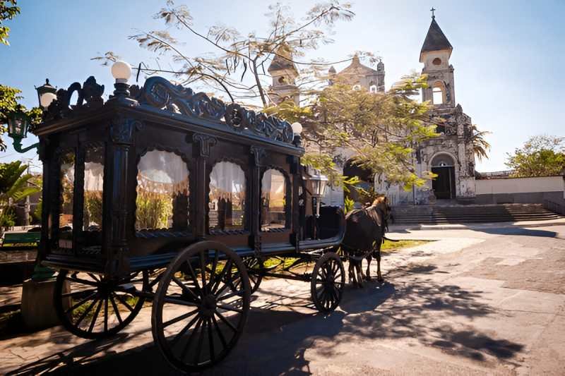Horse and Carriage