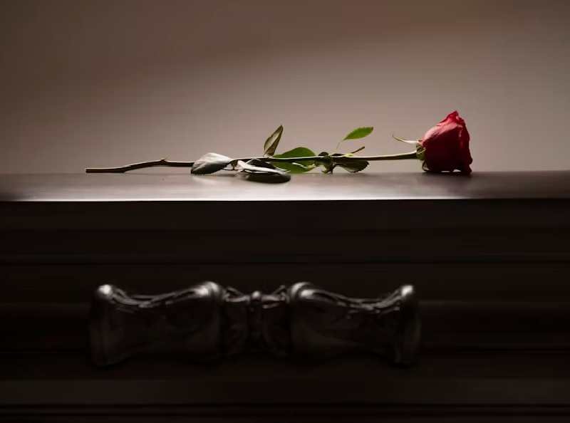 rose-on-table