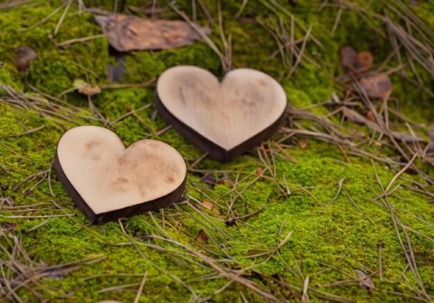 Pair of hearts made of wood
