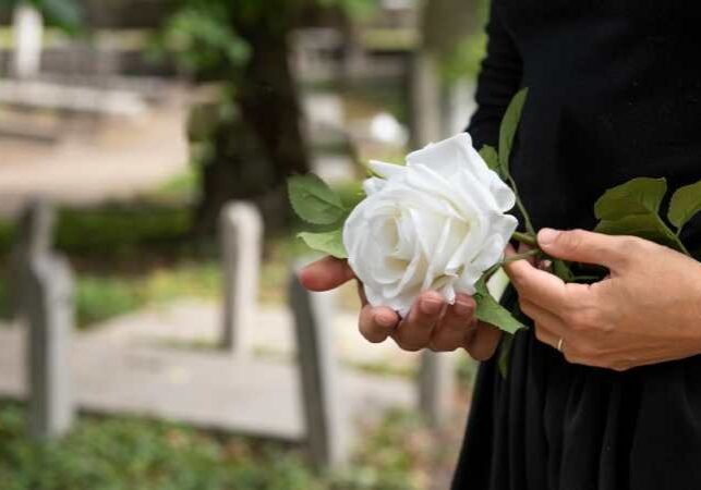 white-rose-in-hand